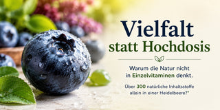 Vielfalt statt Hochdosis: Warum die Natur nicht in Einzelvitaminen denkt