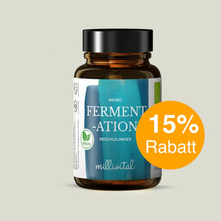 Bio Micro-Fermentations-Beschleuniger