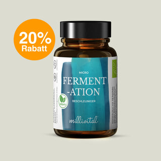 Bio Micro-Fermentations-Beschleuniger