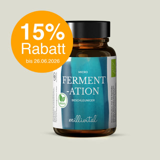 Bio Micro-Fermentations-Beschleuniger