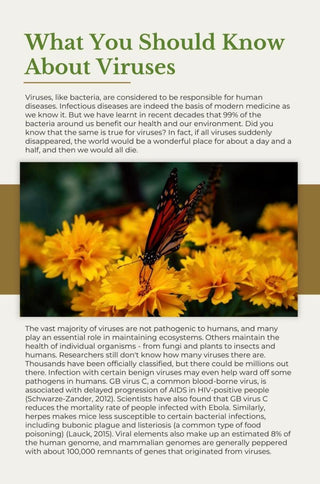 E-Book “Understanding The Immune System Holistically and Strengthening It Naturally”